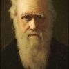 DARWIN