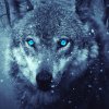 Nightdrocher
