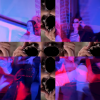JuilVafat