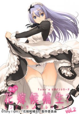 Tony's Heroine Series: Kanojo wa Hanayome Kouhosei? Cinderella Collection / Поиски супруги: Кто достойна быть невестой? Колекция золушек — смотреть хентай онлайн
