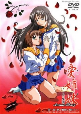 Распутные сестры / Immoral Sisters — смотреть хентай онлайн