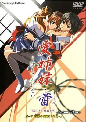 Распутные сестры: Цветочки / Immoral Sisters 3: Blossoming