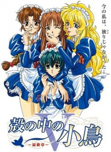 Kara no Naka no Kotori / Девичий дневник — смотреть хентай онлайн