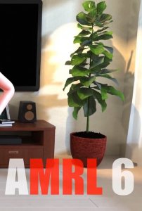 AML6 + Part 2 Standalone