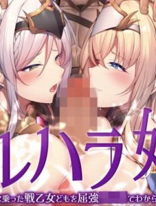Valhalla Brothel: We, seasoned warriors, teach those cocky warrior maidens a lesson with our powerful The Motion Anime — смотреть хентай онлайн